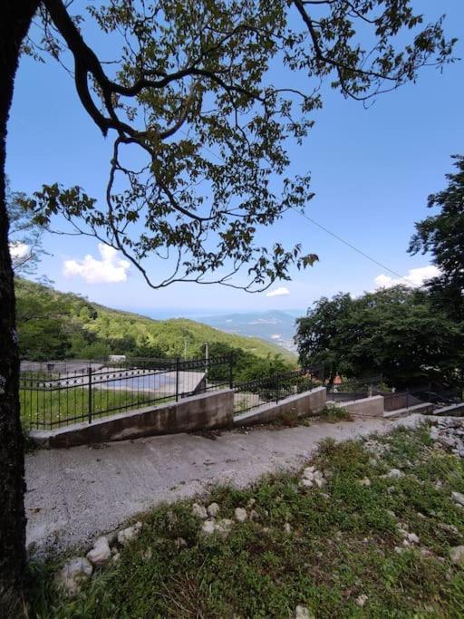 公寓 Nature Escape Montenegro *