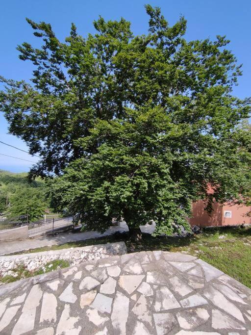 Nature Escape Montenegro * 科托尔