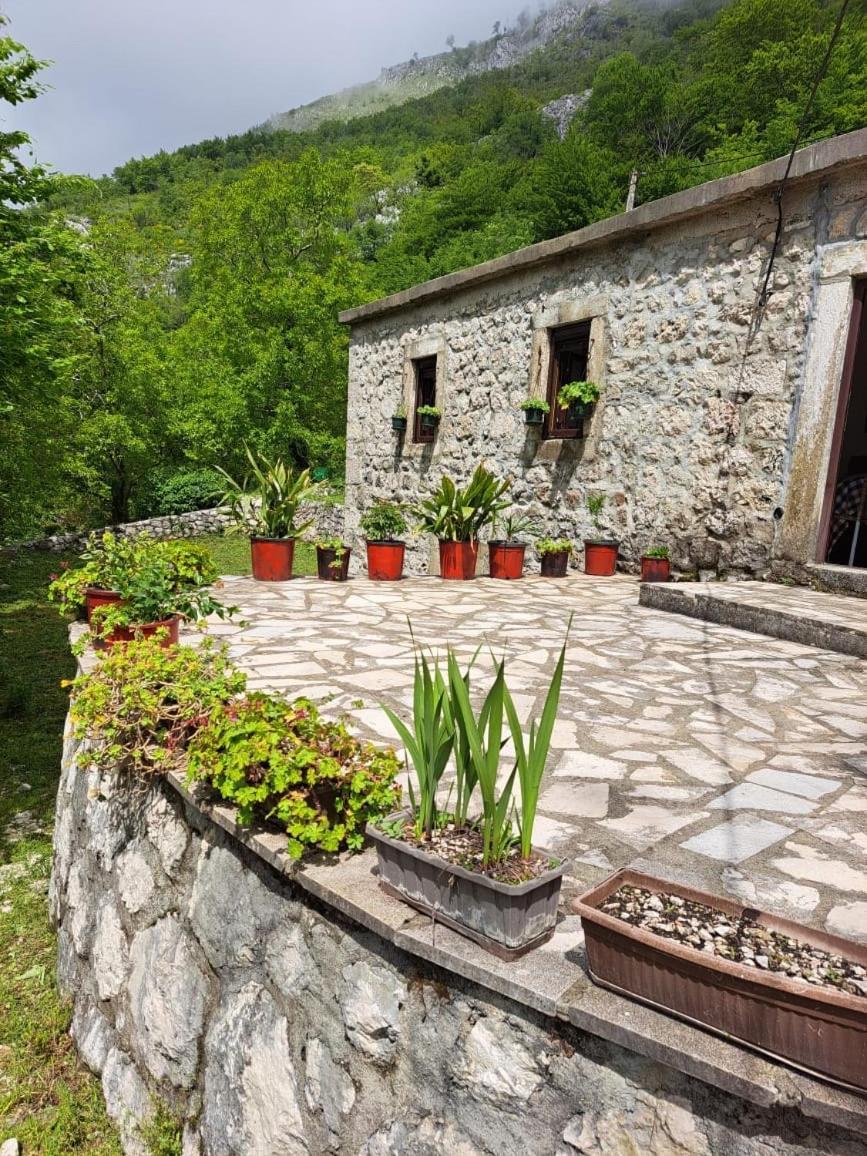 公寓 Nature Escape Montenegro *