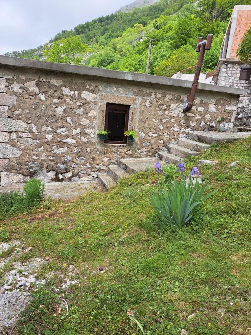 公寓 Nature Escape Montenegro *