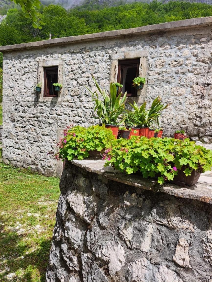 Nature Escape Montenegro * 科托尔