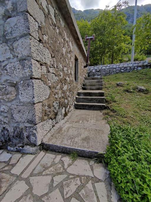 Apartment Nature Escape Montenegro *