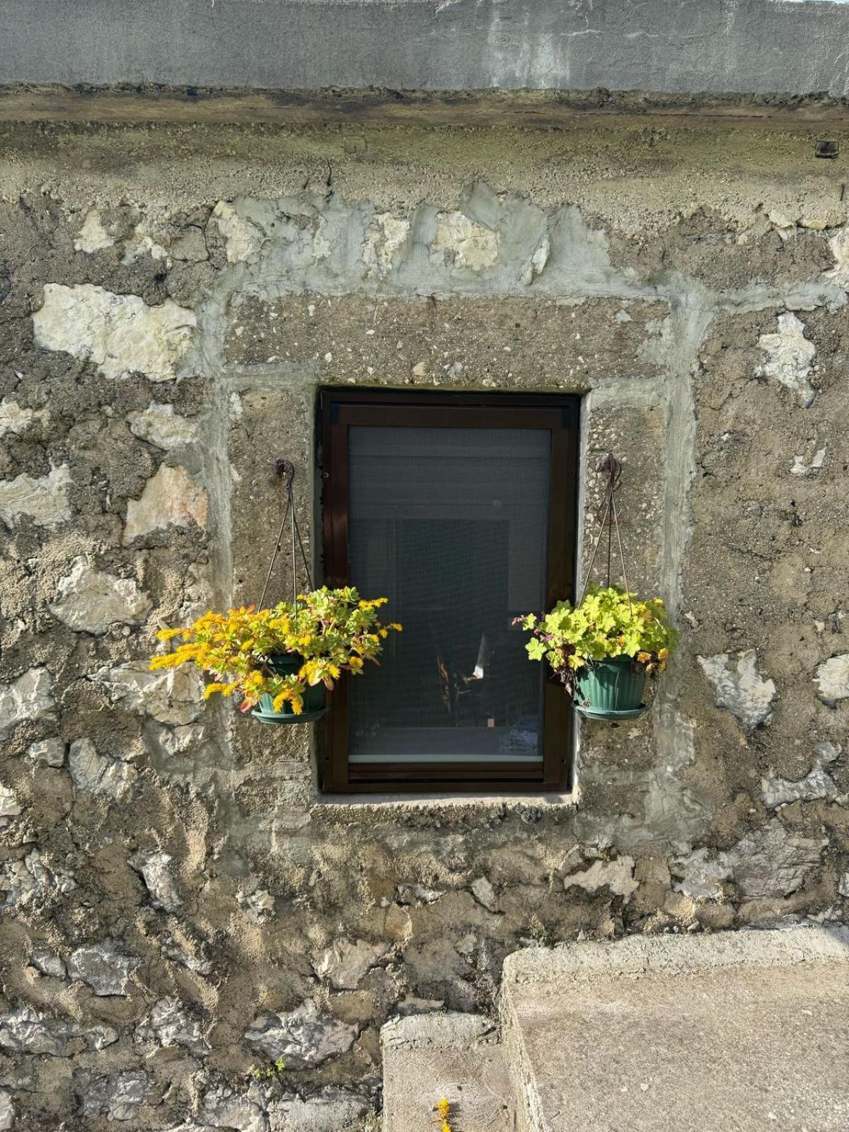 Nature Escape Montenegro Apartment Kotor
