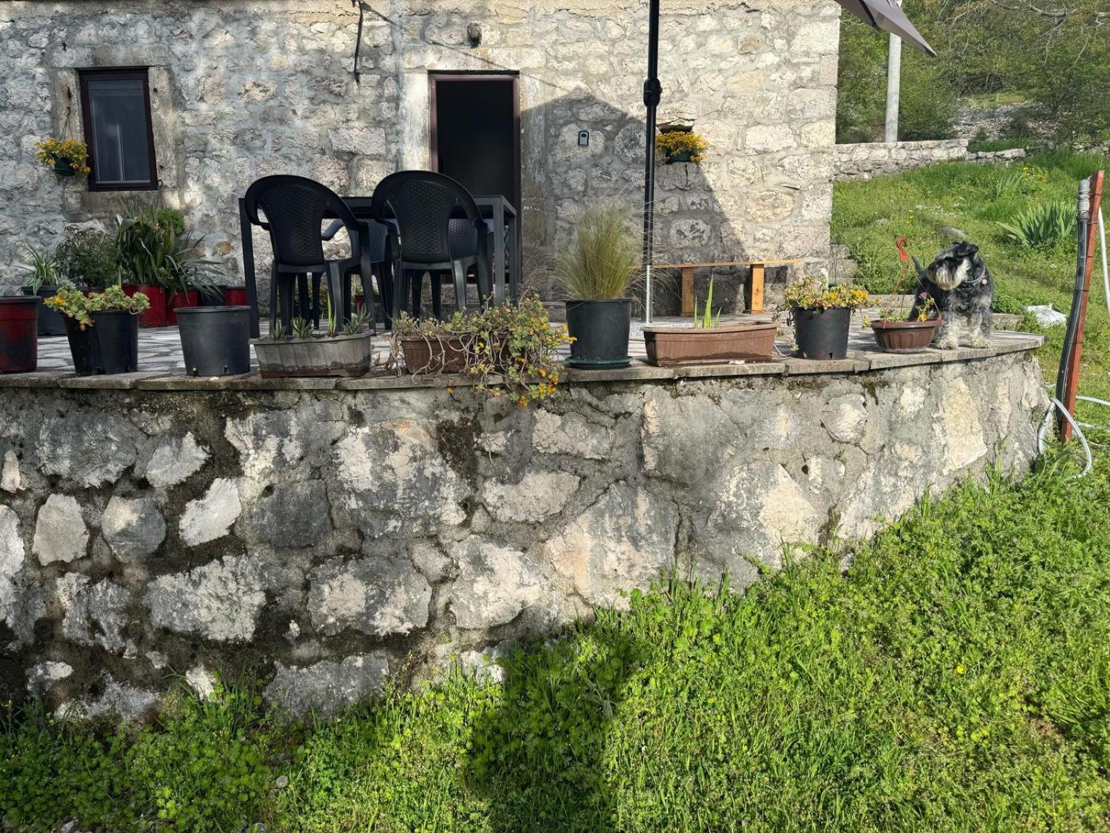 Nature Escape Montenegro * Kotor