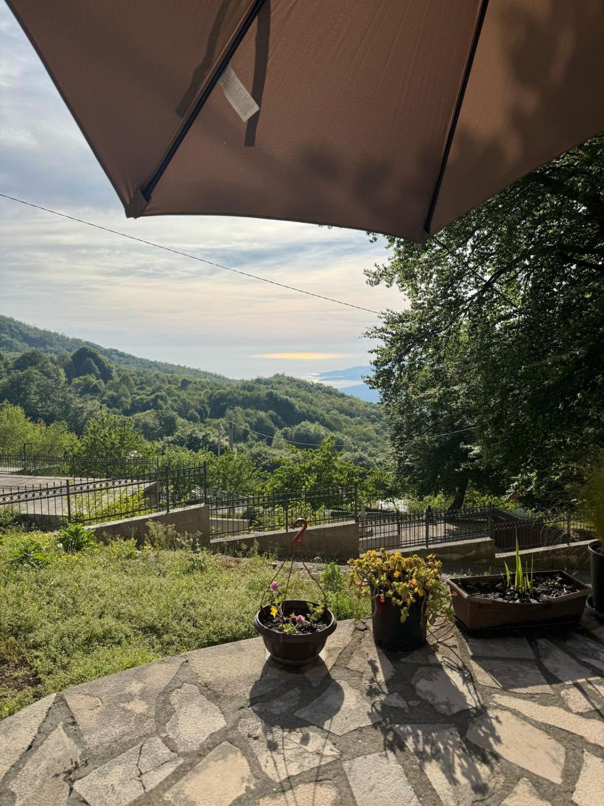 Nature Escape Montenegro Apartment *
